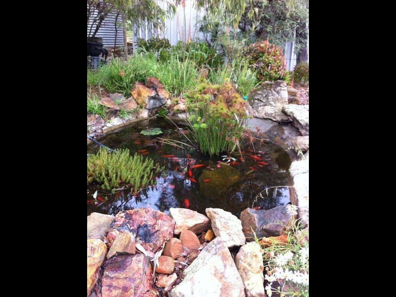 5770 (Lot Toodyay Road, Toodyay WA 6566