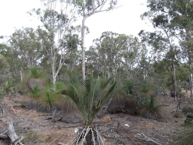 30 Laterite Way, Toodyay WA 6566