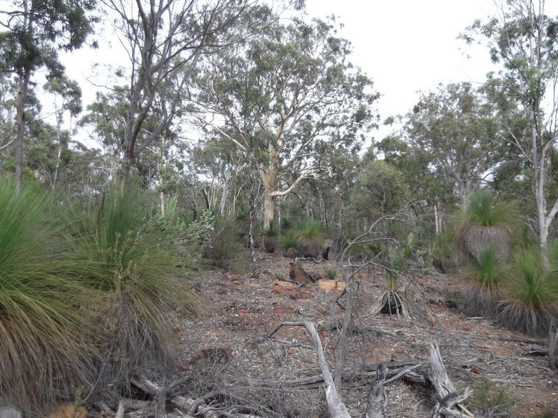 30 Laterite Way, Toodyay WA 6566