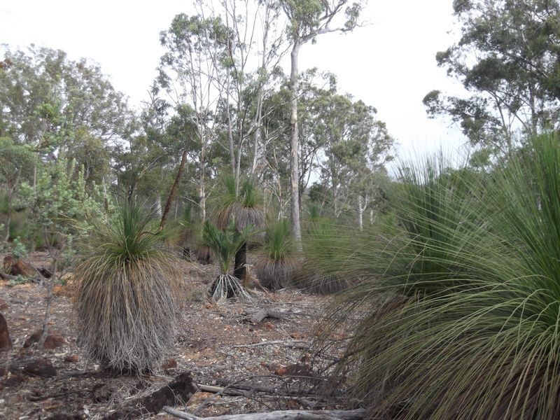 30 Laterite Way, Toodyay WA 6566