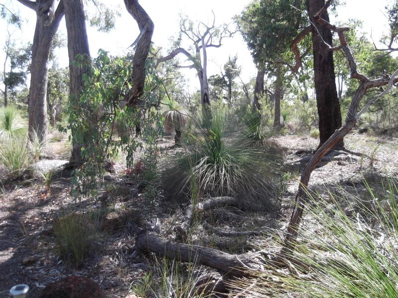 149 Parkland Dr, Toodyay WA 6566