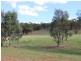 Toodyay WA 6566