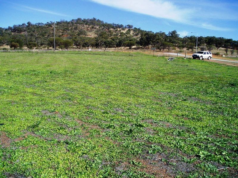 Lot 108 MacDonald Retreat Dumbarton, Toodyay WA 6566