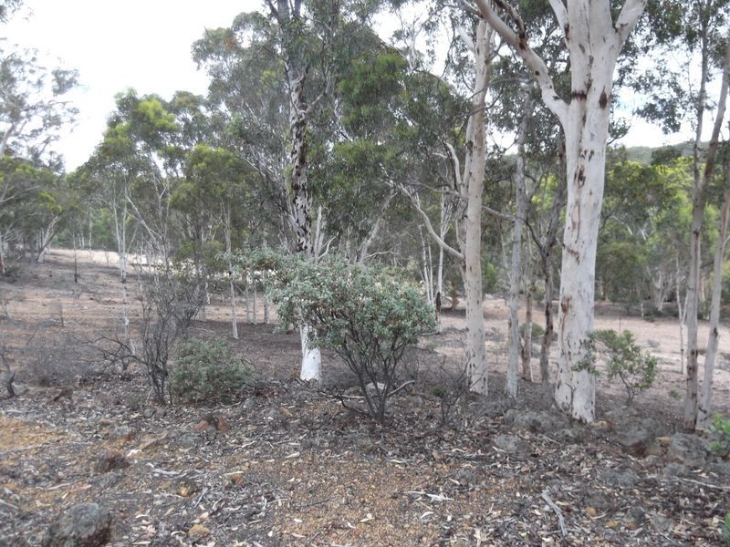 Lot 1989 Frank Venn Drive, Toodyay WA 6566