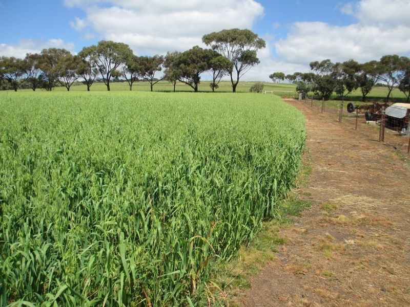 435 Bindoon- Dewars Pool Rd, Toodyay WA 6566