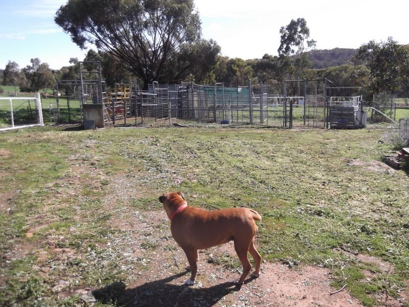 435 Bindoon- Dewars Pool Rd, Toodyay WA 6566