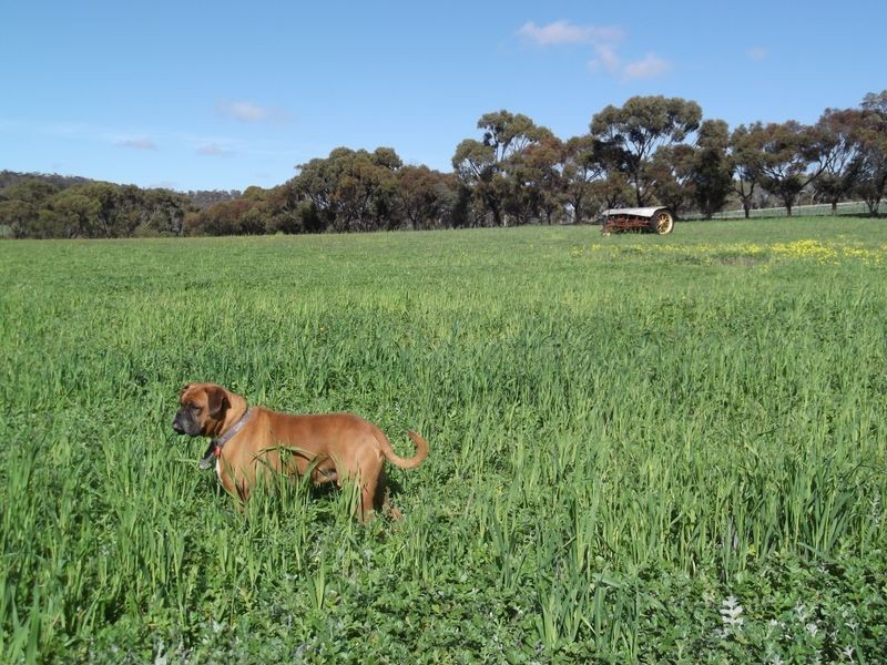 435 Bindoon- Dewars Pool Rd, Toodyay WA 6566