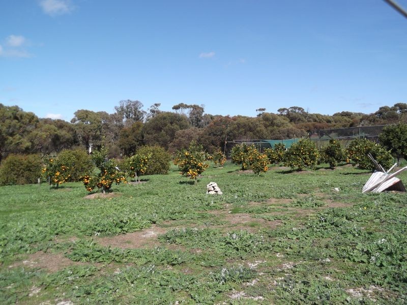 435 Bindoon- Dewars Pool Rd, Toodyay WA 6566