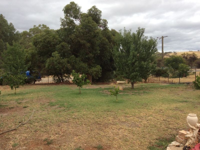 14 Toodyay West Rd, Toodyay WA 6566