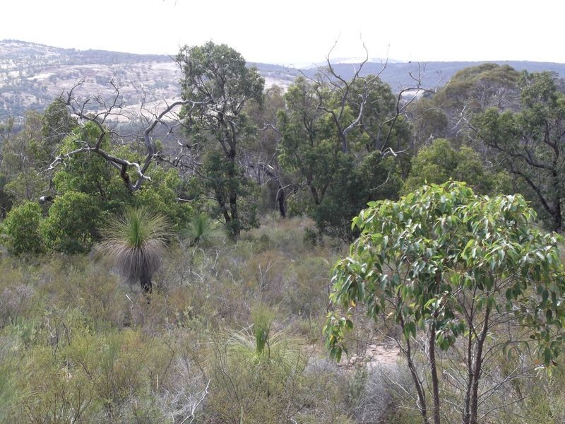 190 Drummondi Drive, Toodyay WA 6566