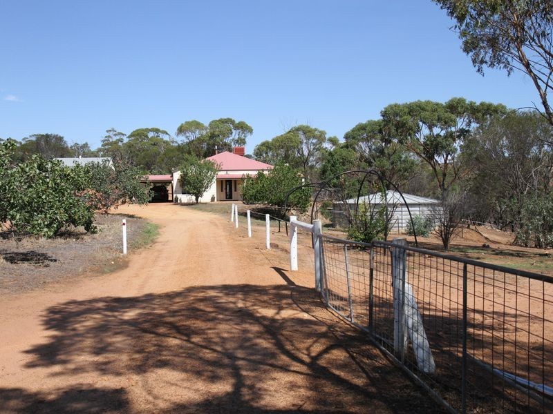 35 (Lot 61) Wellington Street, Toodyay WA 6566