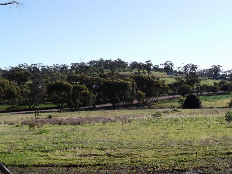 2278 Bindi Bindi-Toodyay Road, Bejoording WA 6566