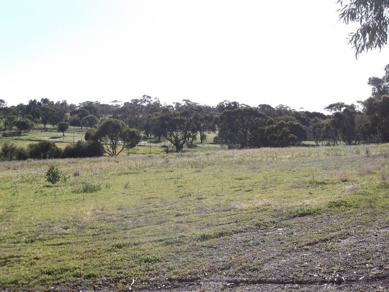 2278 Bindi Bindi-Toodyay Road, Bejoording WA 6566