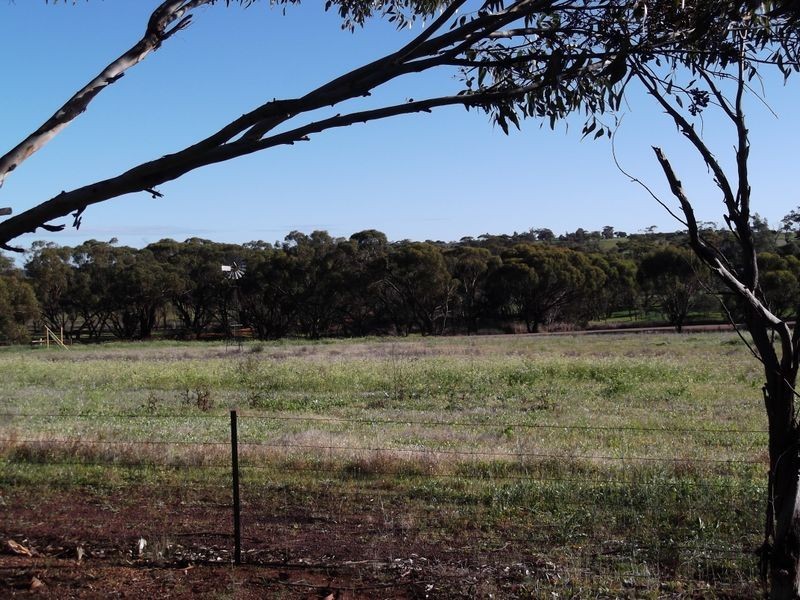 2278 Bindi Bindi-Toodyay Road, Bejoording WA 6566