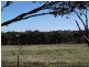 2278 Bindi Bindi-Toodyay Road, Bejoording WA 6566