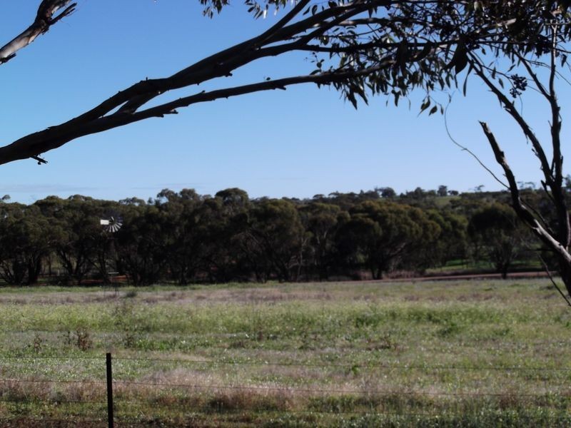 2278 Bindi Bindi-Toodyay Road, Bejoording WA 6566