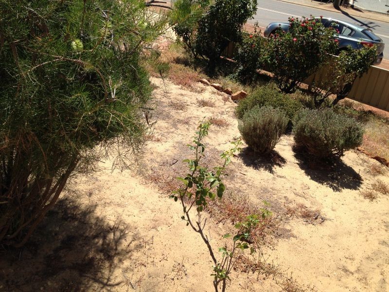 11 Stirling Tce, Toodyay WA 6566