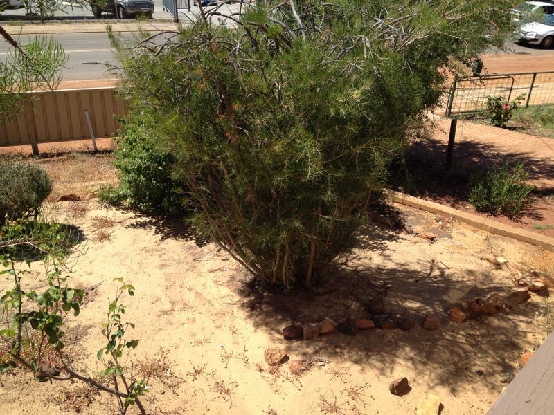 11 Stirling Tce, Toodyay WA 6566