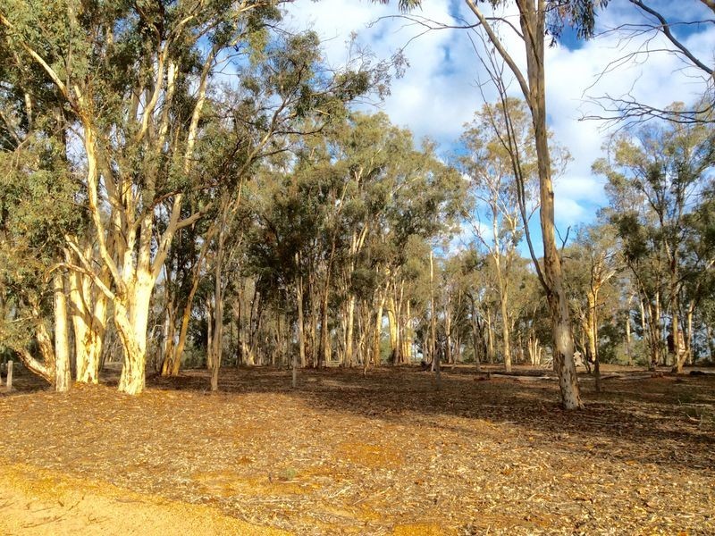 20 (LOT684 Marginata Road, Toodyay WA 6566