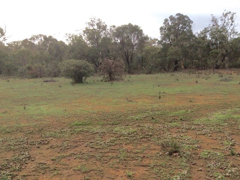 74 (LOT 13 White Gum Ridge, Toodyay WA 6566