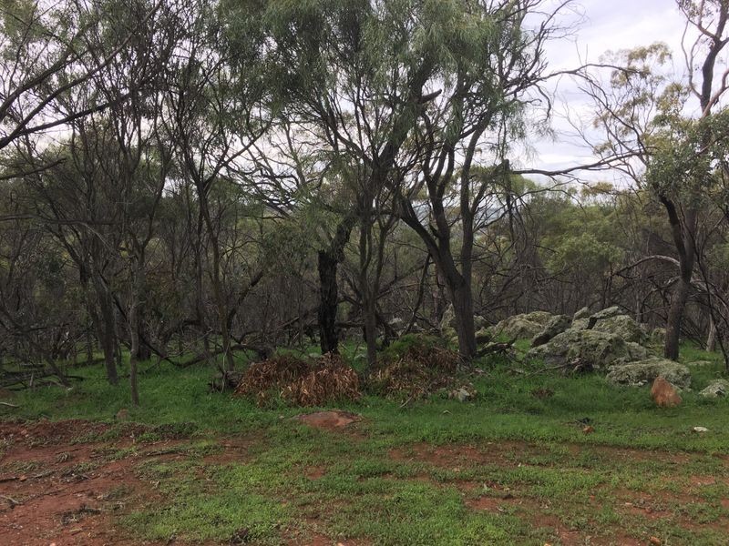 180 HORSESHOE ROAD, Toodyay WA 6566