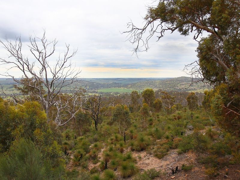 102 Drummondi Drive, Toodyay WA 6566