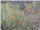 664 Coondle West Road, Toodyay WA 6566