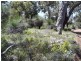 664 Coondle West Road, Toodyay WA 6566