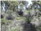 664 Coondle West Road, Toodyay WA 6566