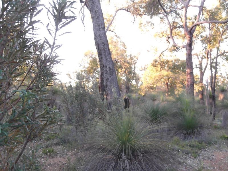 664 Coondle West Road, Toodyay WA 6566