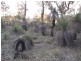 664 Coondle West Road, Toodyay WA 6566