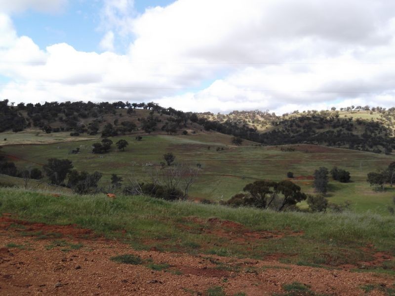 470 Folewood Rd, Toodyay WA 6566