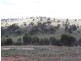 470 Folewood Rd, Toodyay WA 6566