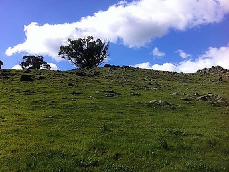 LOT 119 Drumree Drive, Toodyay WA 6566