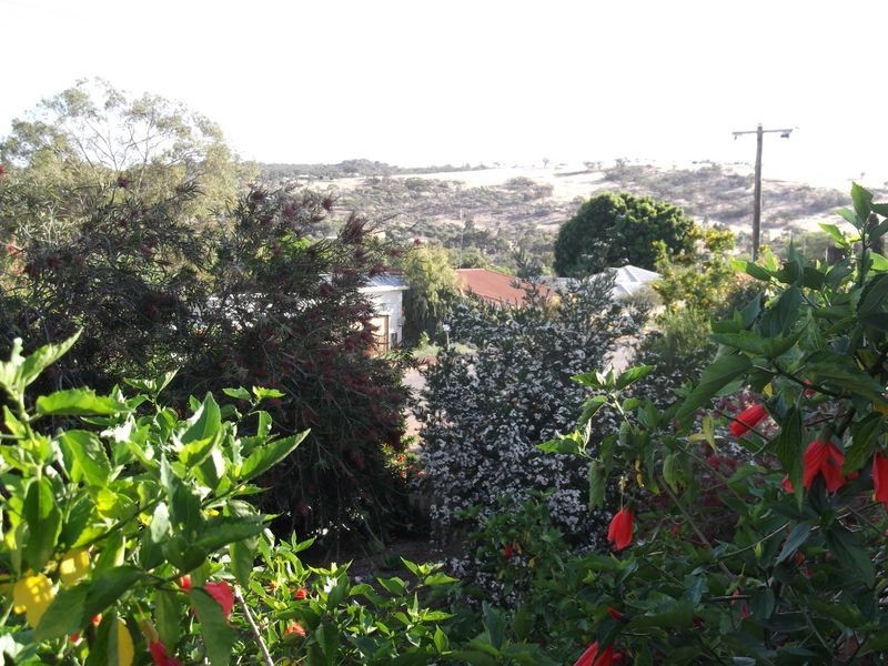 19 Connor St, Toodyay WA 6566