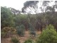 10 Surrey Road, Clackline WA 6564