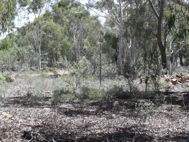 161 Harvester Drive, Toodyay WA 6566