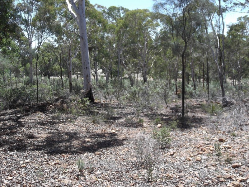 161 Harvester Drive, Toodyay WA 6566