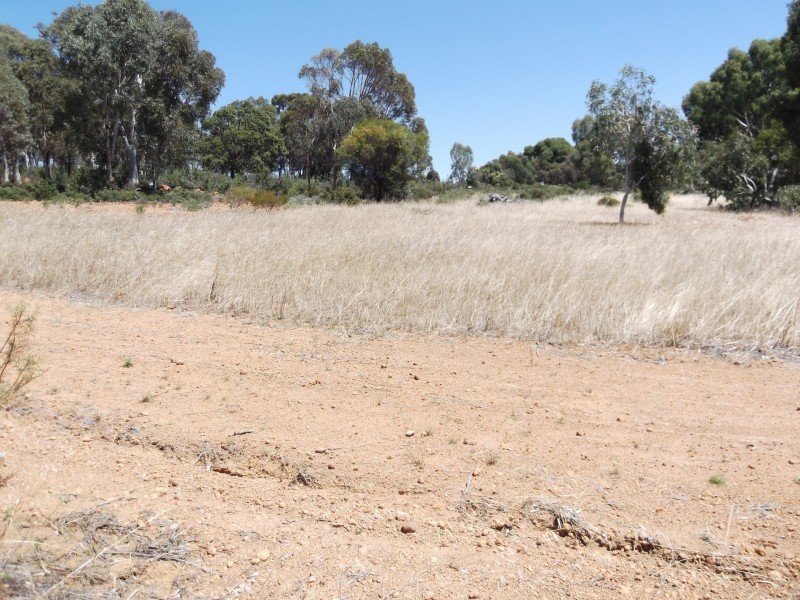 161 Harvester Drive, Toodyay WA 6566