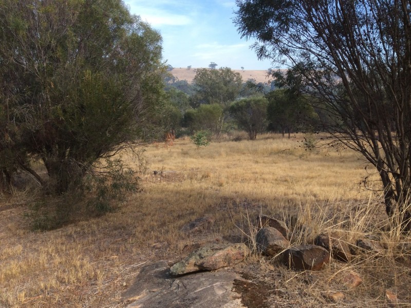 53 Toodyay West Road, Toodyay WA 6566
