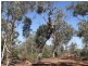 LOT 39 LATERITE WAY, Toodyay WA 6566