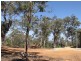 LOT 39 LATERITE WAY, Toodyay WA 6566