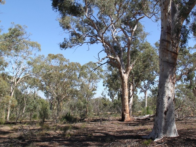 LOT 39 LATERITE WAY, Toodyay WA 6566