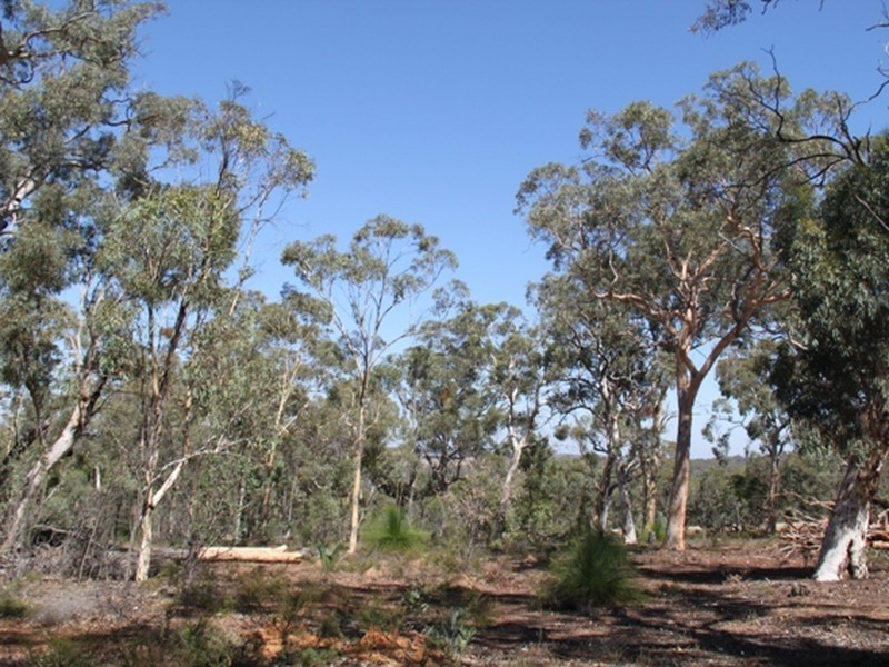 LOT 39 LATERITE WAY, Toodyay WA 6566