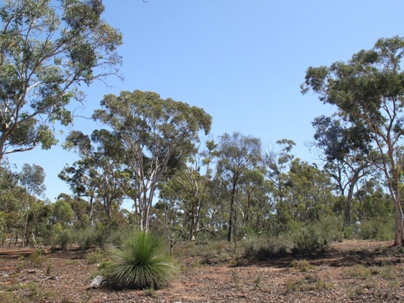 LOT 39 LATERITE WAY, Toodyay WA 6566