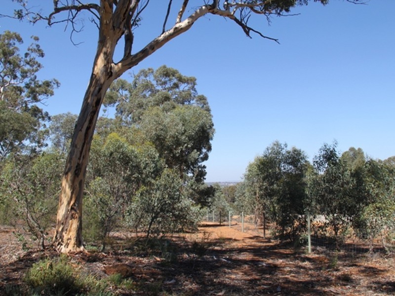 LOT 39 LATERITE WAY, Toodyay WA 6566