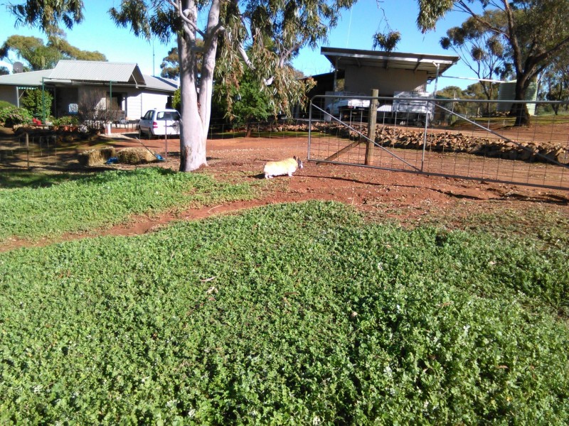 301 COONDLE DRIVE, Toodyay WA 6566