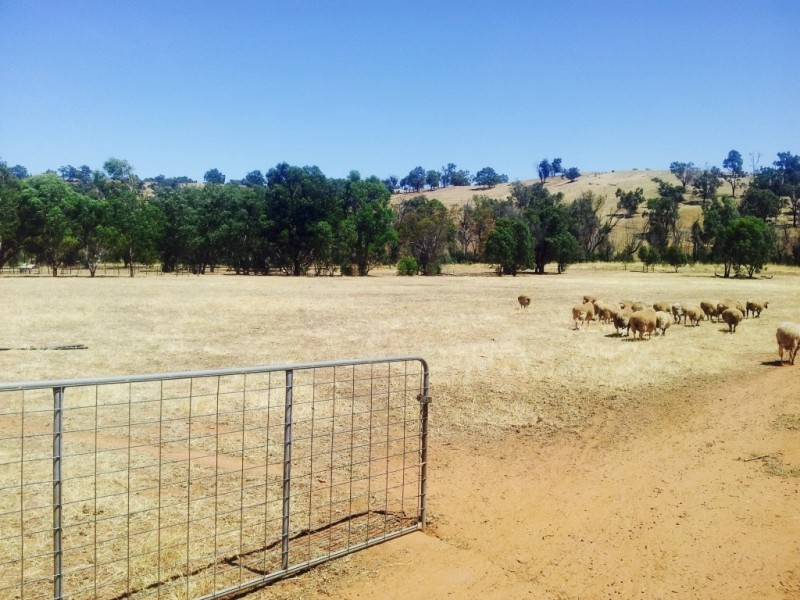 74 (LOT 3) Gray Road, Bindoon WA 6502