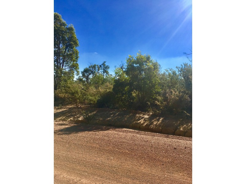 65 (LOT 21 ADENANTHUS ROAD, Toodyay WA 6566