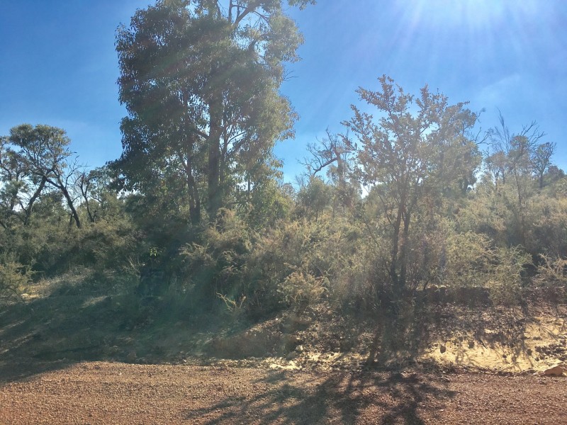65 (LOT 21 ADENANTHUS ROAD, Toodyay WA 6566